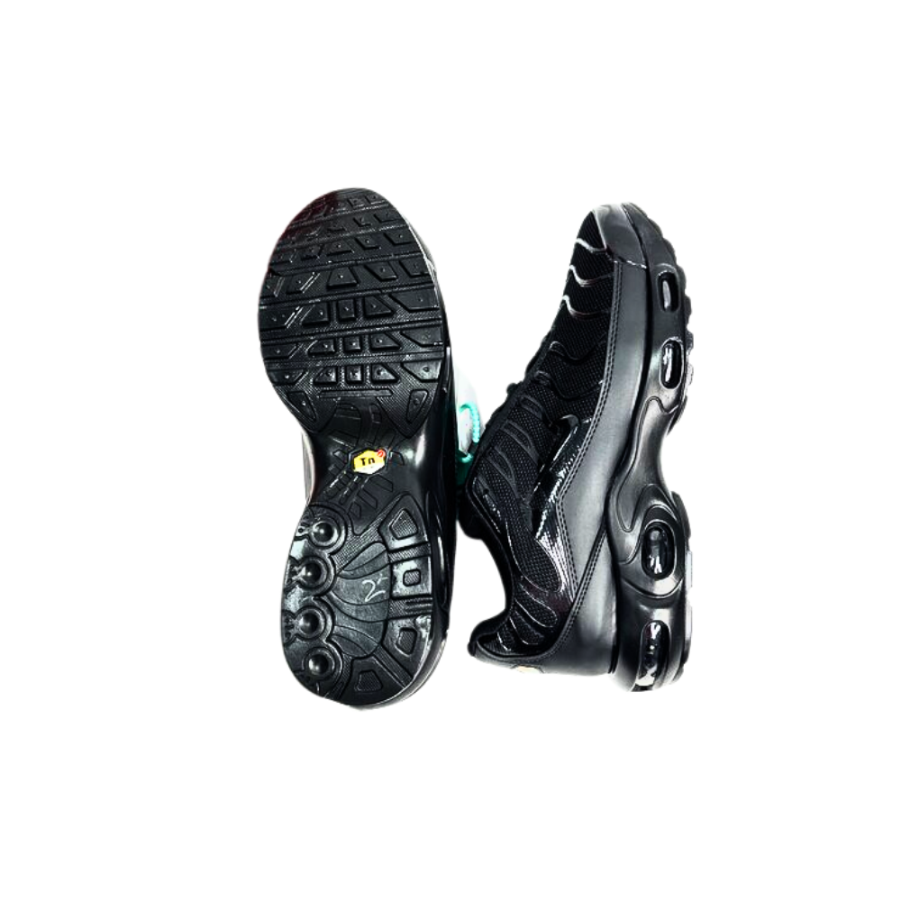 Nike TN Air Max Plus Erkek