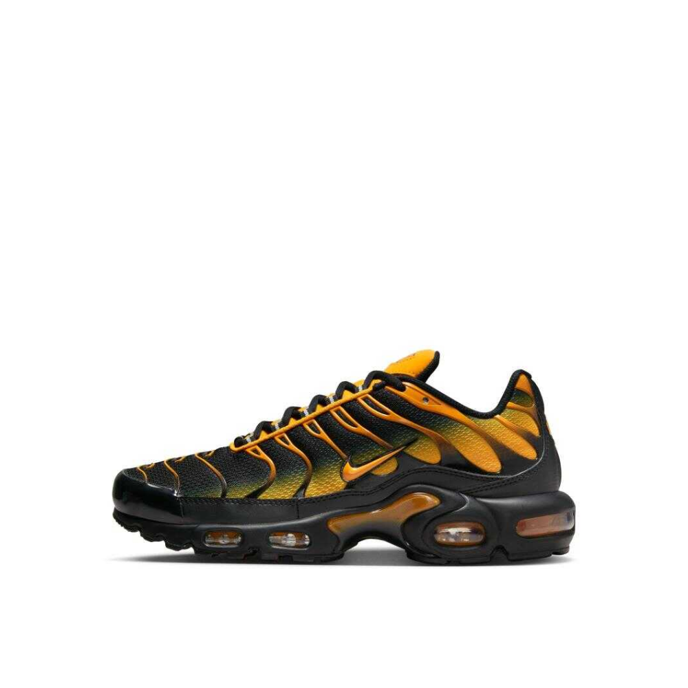 Nike TN Air Max Plus Erkek Sneaker Ayakkabı