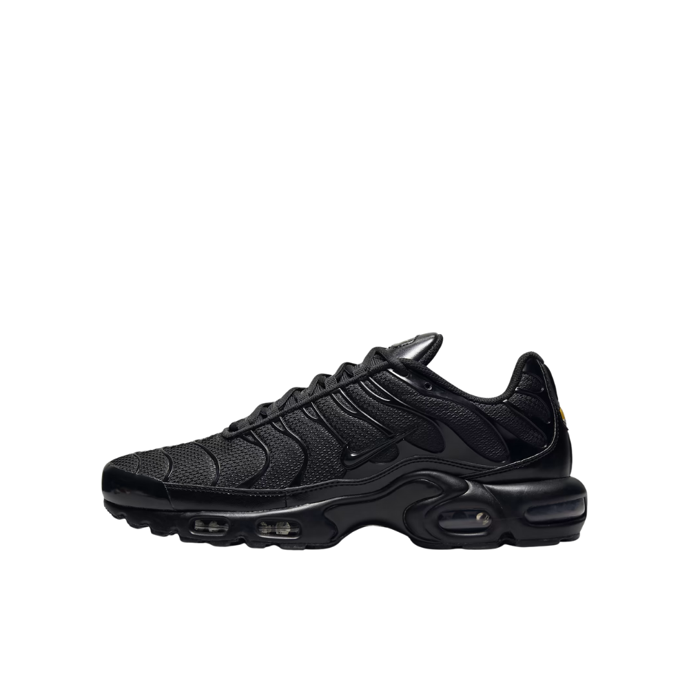 Nike TN Air Max Plus Erkek